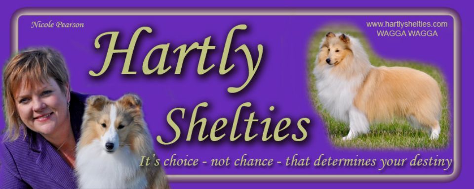 HARTLY SHELTIES